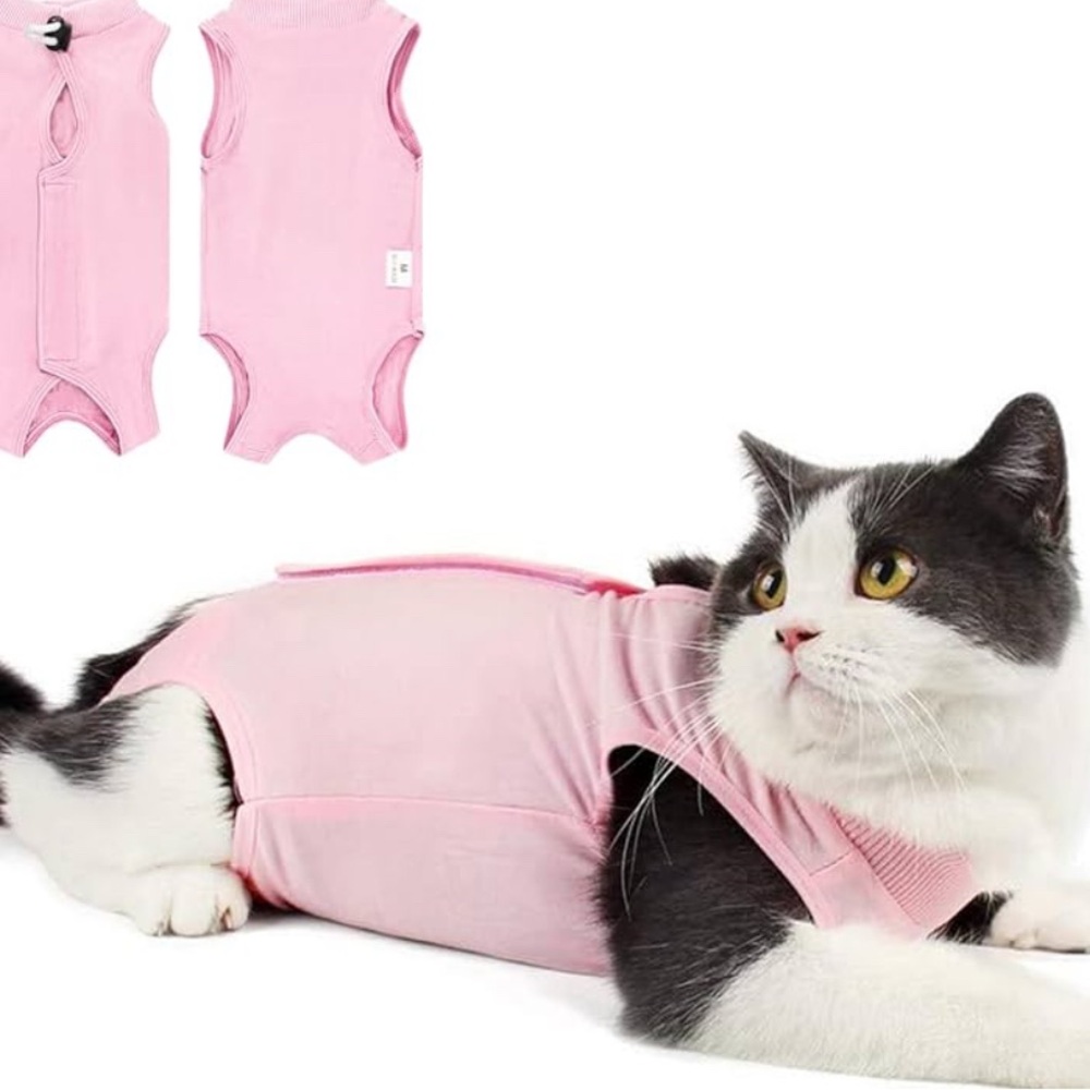 Cat Recovery Suits for Abdominal Wounds- Set of Two- Small